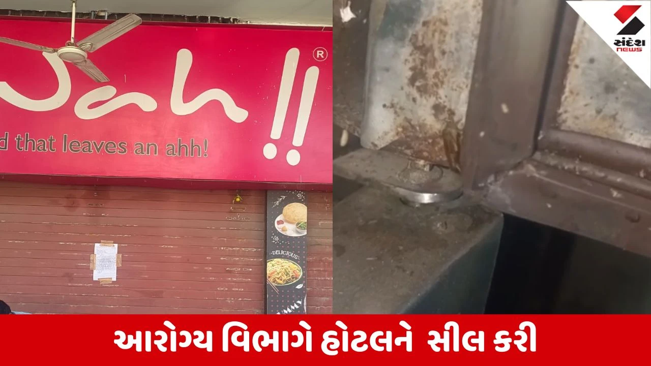 Ahmedabad : વાહ પીઝા એન્ડ ભેળ હોટલમાં ભોજનની ડીશમાં મૃત ગરોળી નીકળતાં આરોગ્ય વિભાગને ફરિયાદ કરાઇ
