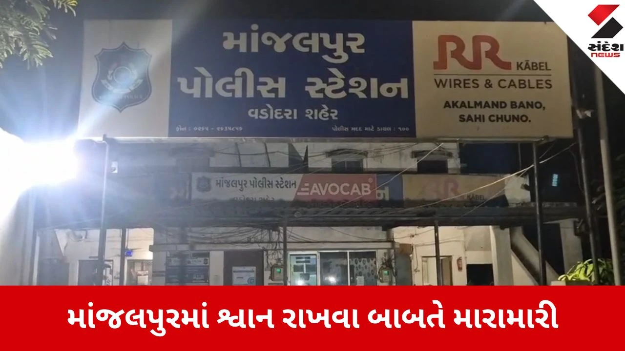 વડોદરાના માંજલપુરમાં શ્વાન મુદ્દે તકરાર થતા યુવકે મહિલા પર હુમલો કર્યો, આરોપીની ધરપકડ.