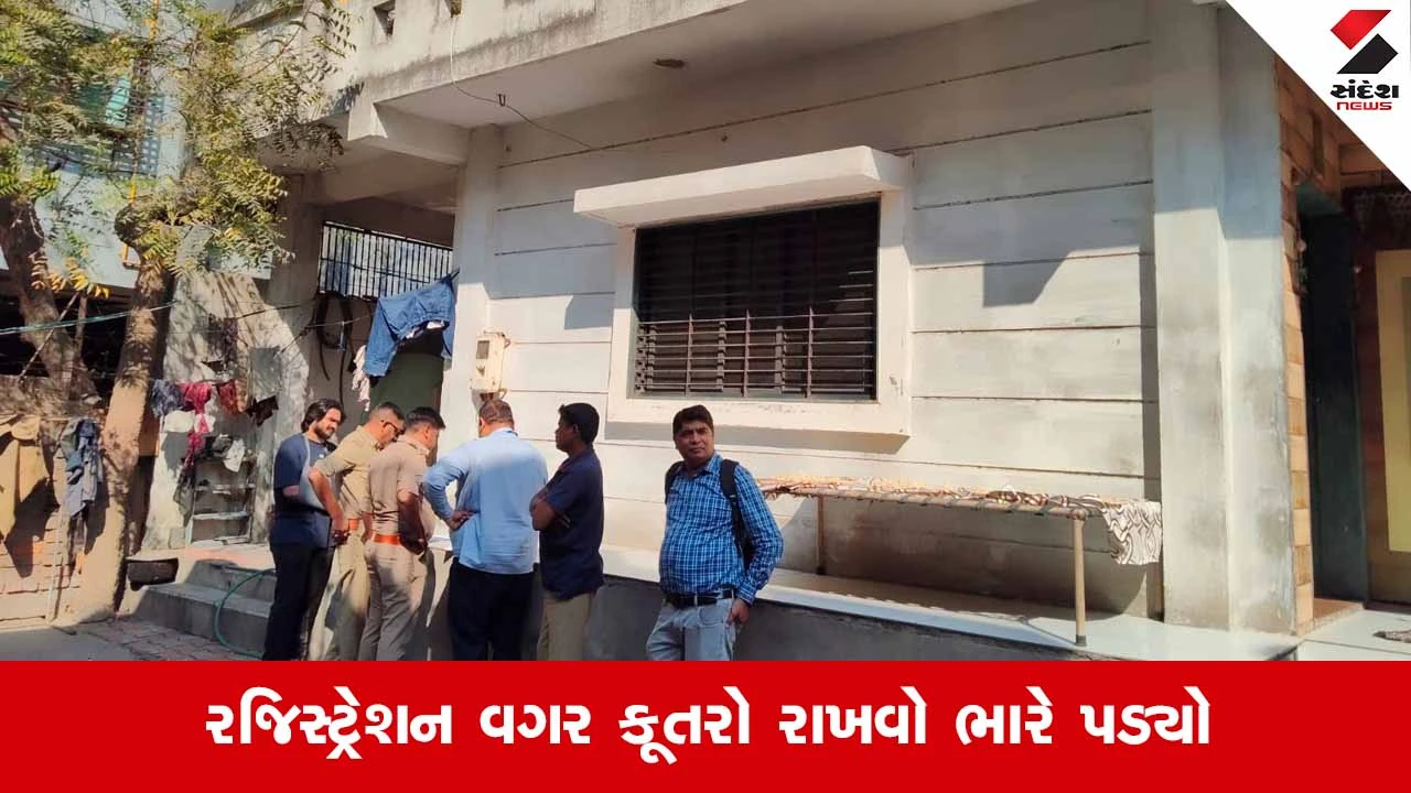 Ahmedabadના નારોલમાં પાલતુ શ્વાન કરડવાના મામલે AMCની લાલ આંખ; શ્વાનને શેલ્ટર હોમ ખસેડાયો