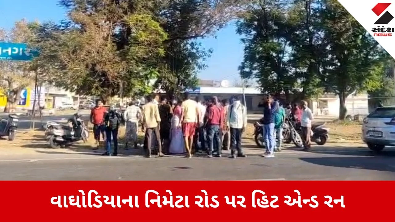 Vadodara: વાઘોડિયા રોડ પર અજાણ્યા વાહનની યુવતીને ટક્કર, હિટ એન્ડ રનની ઘટનામાં વિદ્યાર્થીની ઈજાગ્રસ્ત