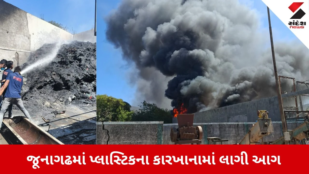 Junagadh News: GIDC-2 માં પ્લાસ્ટિકના કારખાનામાં આગ, ફાયર ફાઈટરોએ 12 હજાર લીટર પાણીનો મારો ચલાવ્યો 