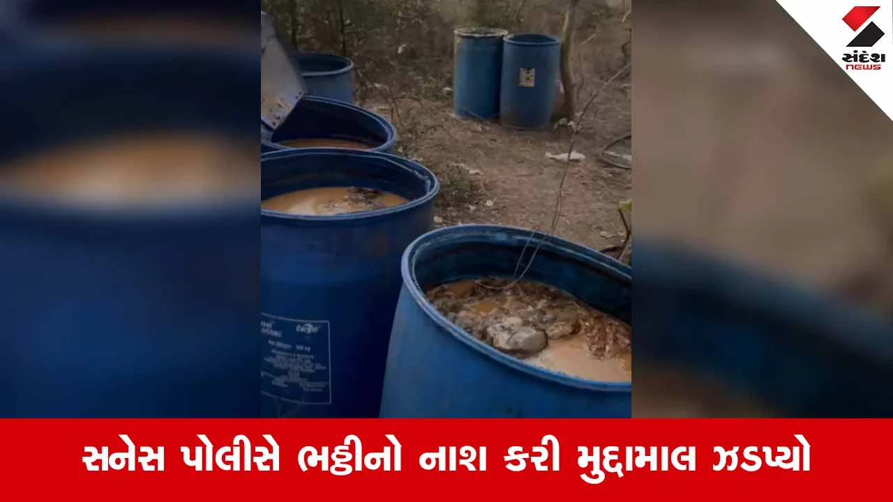Bhavnagar News: માઢીયા ગામે દેશી દારૂની ભઠ્ઠી પર પોલીસનો દરોડો; 1000 લિટર જેટલો આથો ઝડપાયો