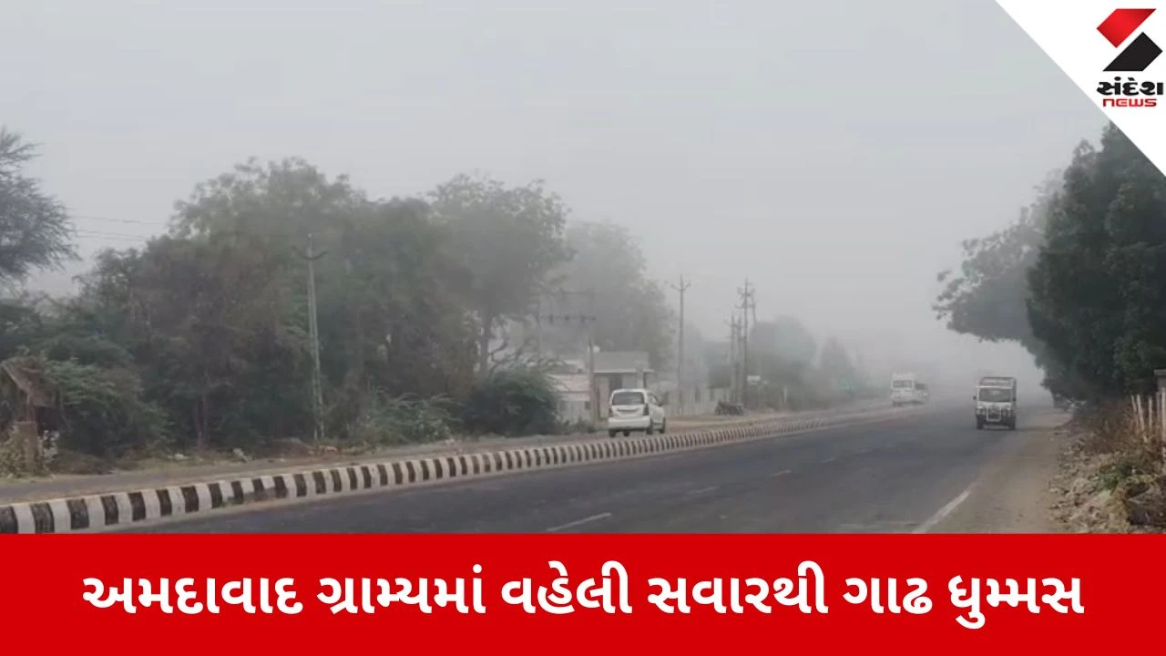 અમદાવાદ: ગ્રામ્યમાં વહેલી સવારથી ધુમ્મસનું સામ્રાજ્ય, હાઈવે પર વાહનચાલકો હેડલાઈટ ચાલુ રાખવા મજબૂર.