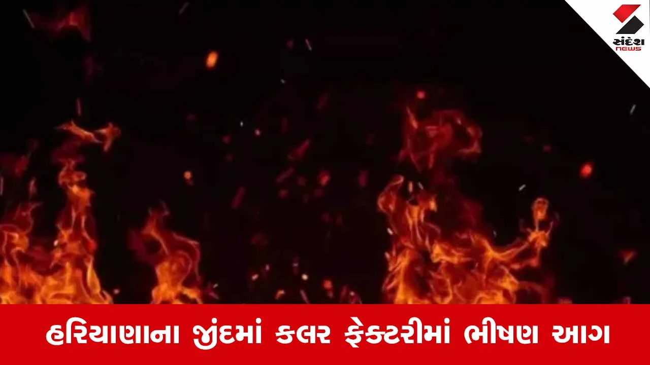 Haryana : જીંદમાં કલર ફેક્ટરીમાં ભીષણ આગ, 5 મહિલાઓના મોત 