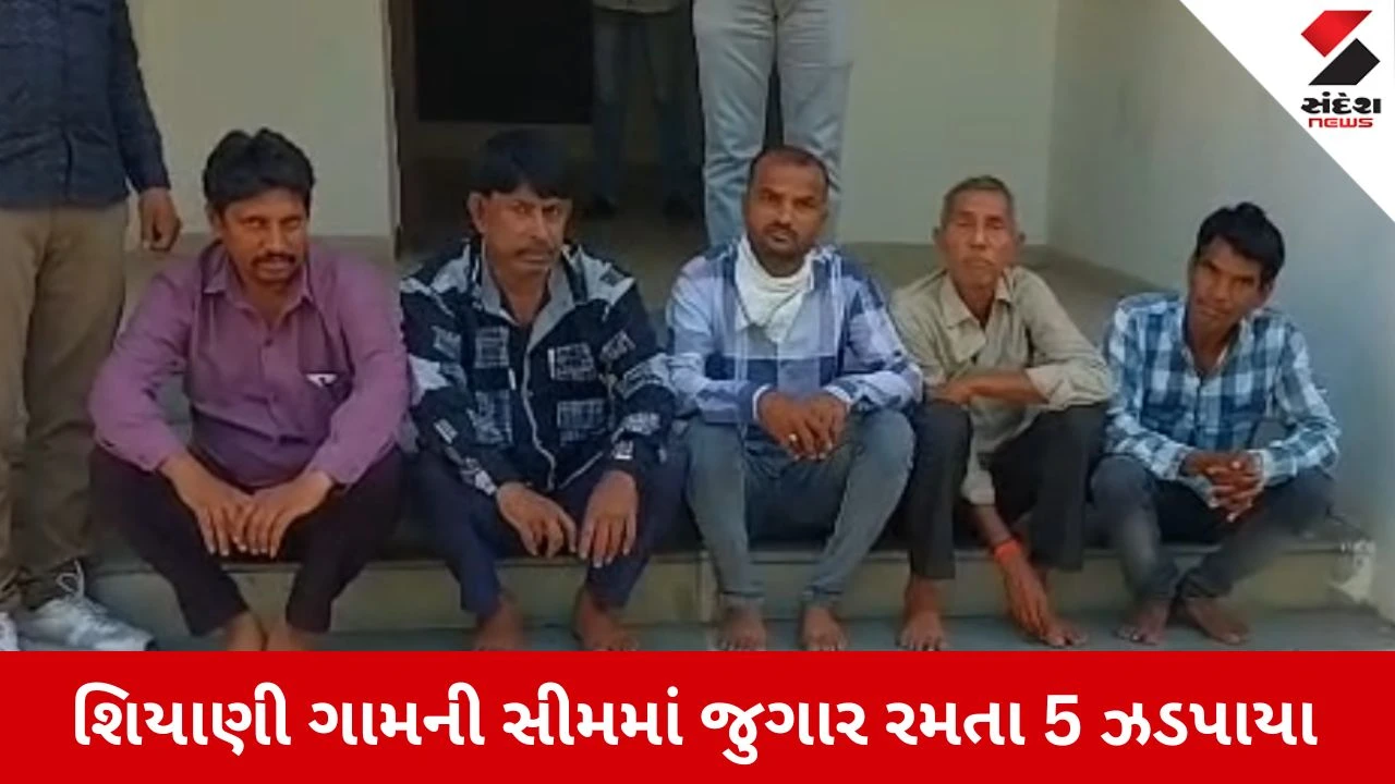 Surendranagar News: લીંબડી પોલીસનો સપાટો, શિયાણીની સીમમાં જુગાર રમતા 5 શખ્સો ઝડપાયા