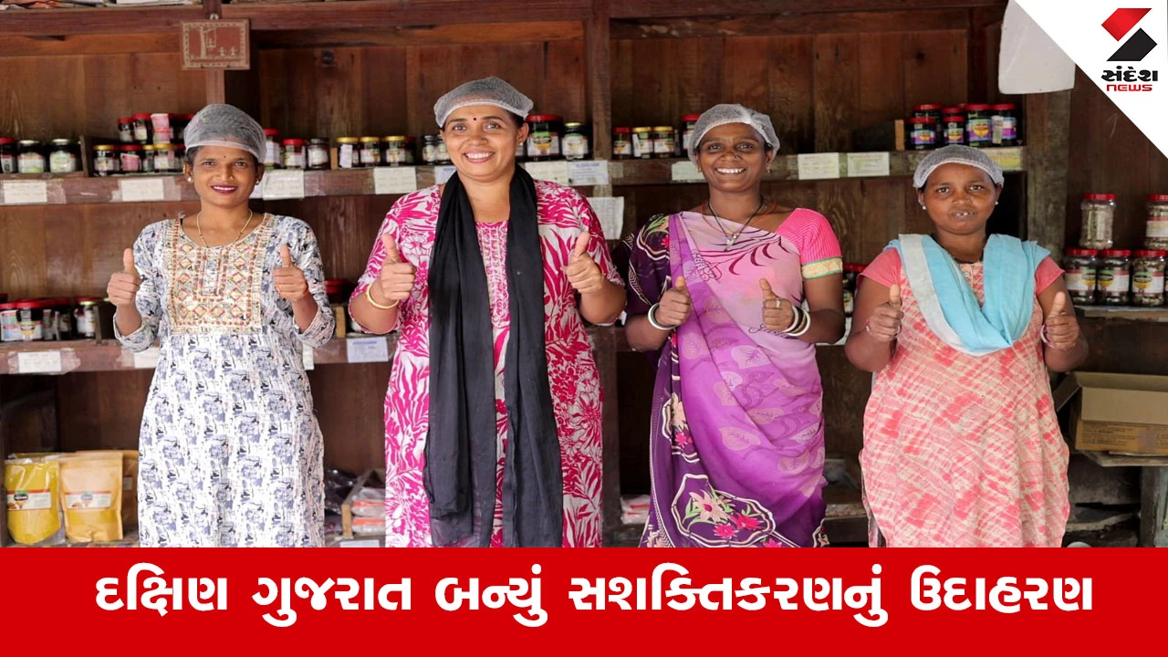 Womens Day 2026 : દક્ષિણ ગુજરાત બન્યું  સશક્તિકરણનું ઉદાહરણ, ઘરે જ મધ-ઉત્પાદન શરૂ કર્યું અને આજે 10 લાખથી વધુની આવક 