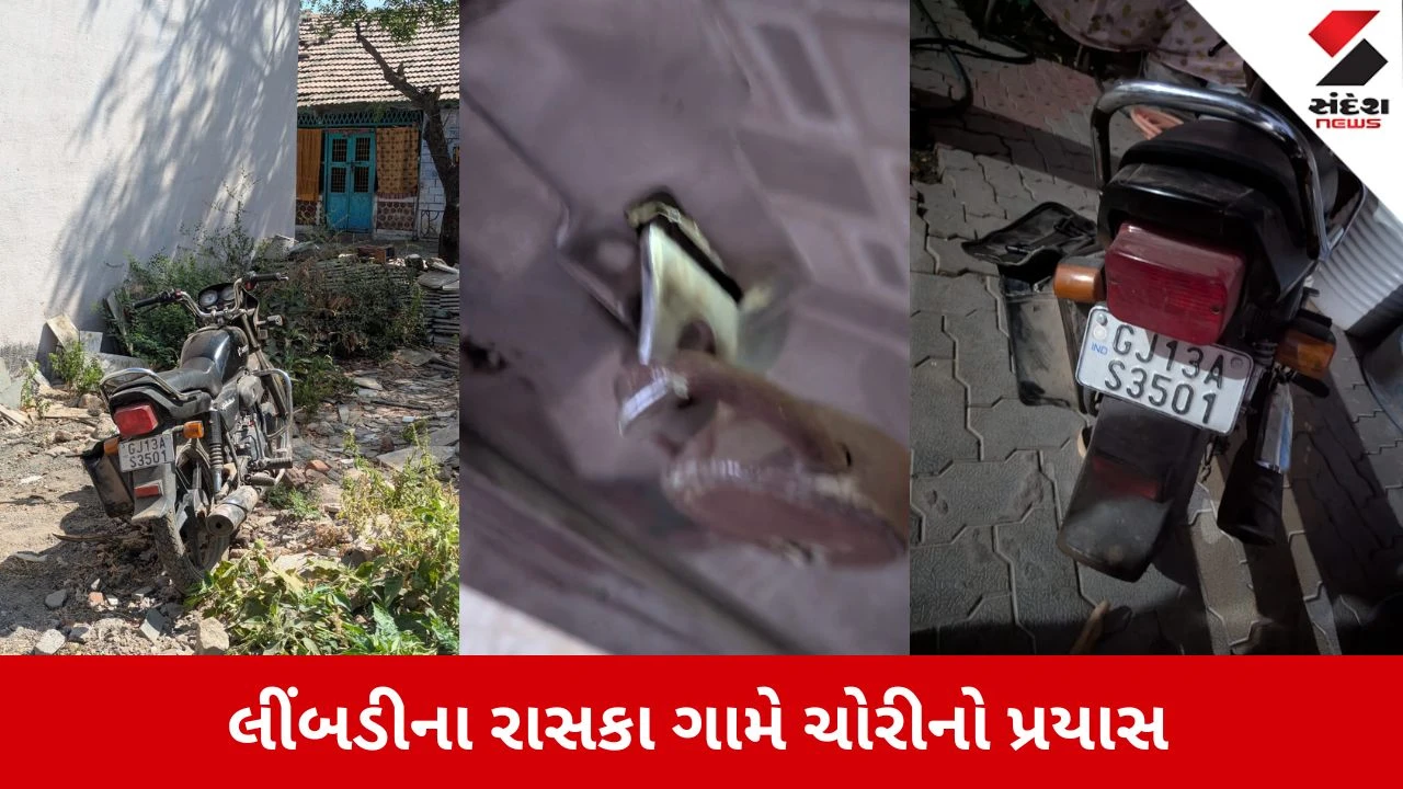 Surendranagar News: લીંબડીના રાસકા ગામે તસ્કરોનો આતંક, એકસાથે 5 મકાનોના તાળા તૂટ્યા