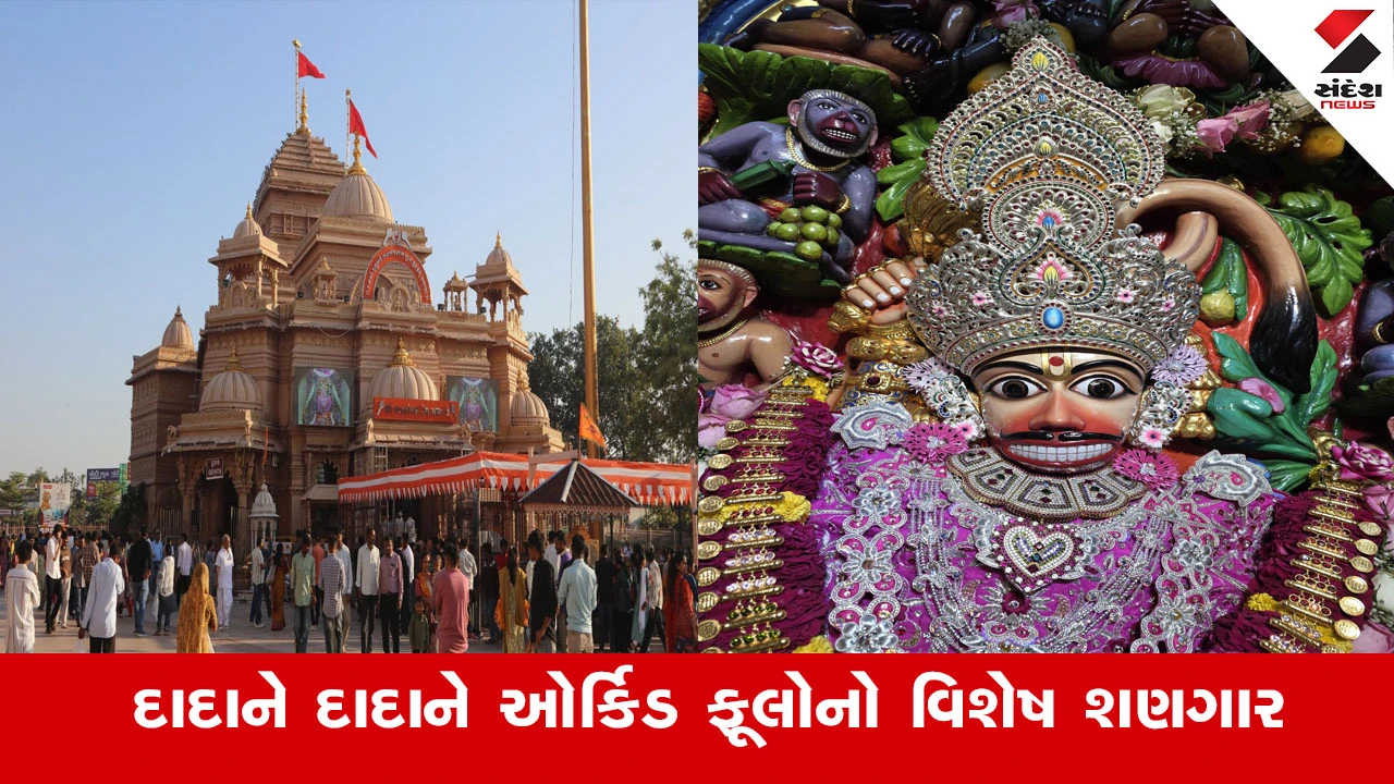 સાળંગપુર: શ્રીકષ્ટભંજનદેવ દાદાને ઓર્કિડ અને સેવંતીના ફૂલોનો શણગાર.