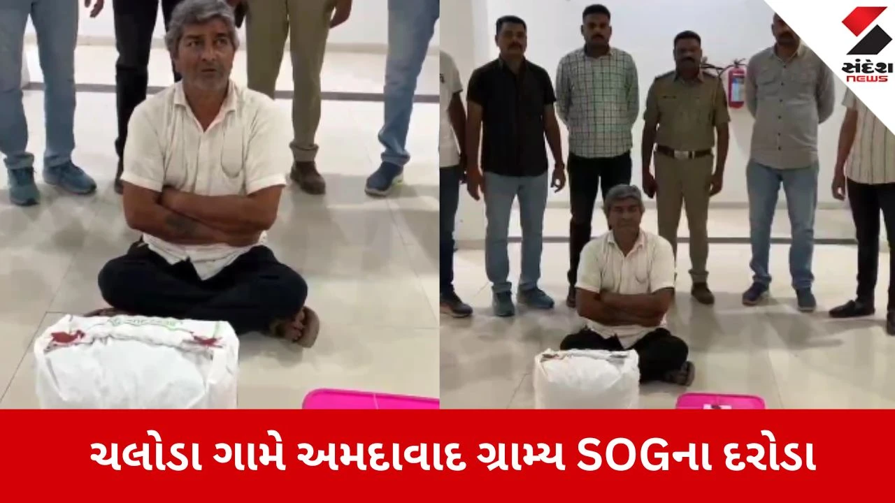 Dholka: ચલોડા ગામે SOGના દરોડા, 5.3 કિલો પોષડોડા સાથે 65 વર્ષીય વૃદ્ધ ઝડપાયો