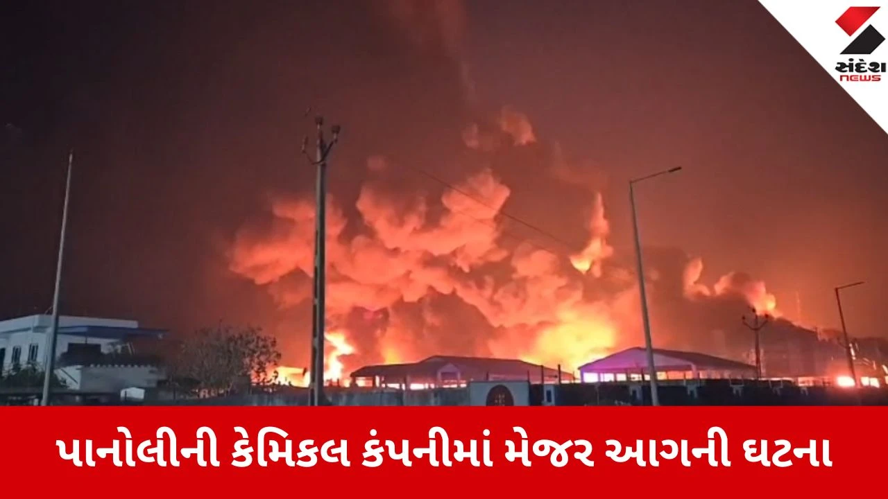Ankleshwar: પાનોલી જીઆઈડીસીની કંપનીમાં ભીષણ આગ, દૂર-દૂર સુધી દેખાયા અગનજ્વાળાના દ્રશ્યો