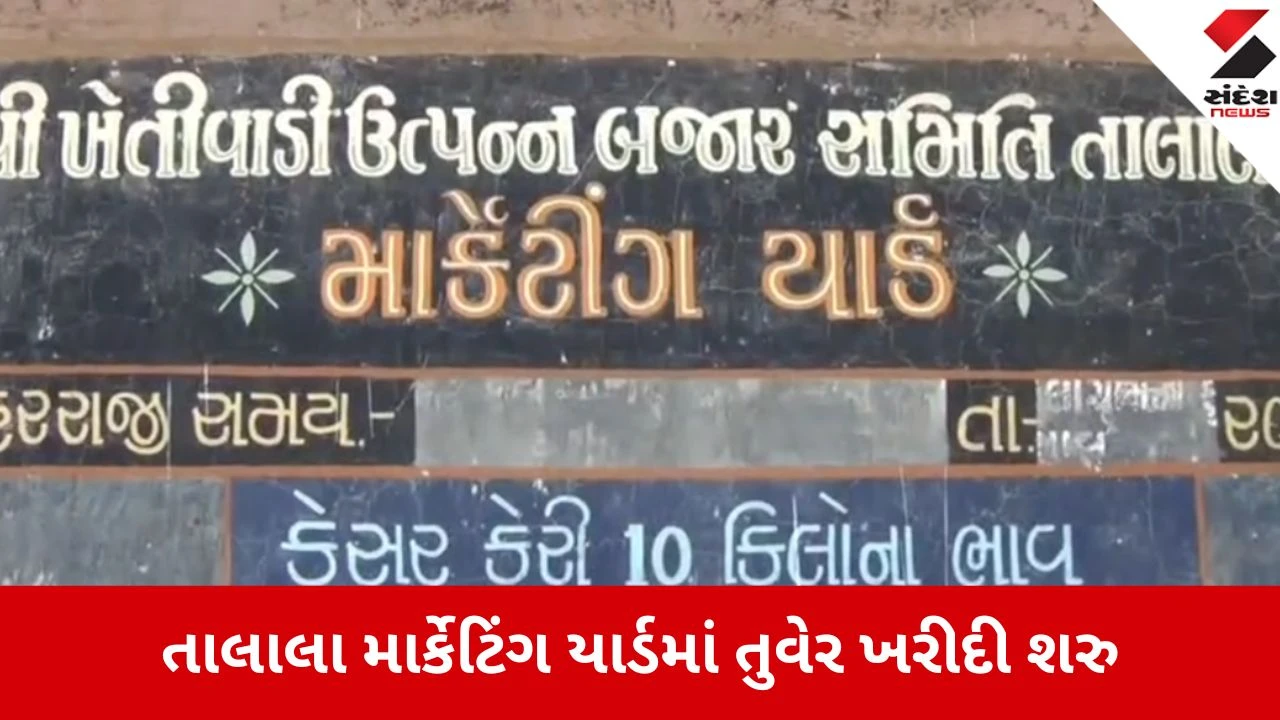 Gir Somnath: આવતીકાલથી તુવેરની ટેકાના ભાવે ખરીદીનો પ્રારંભ, ખેડૂતો માટે ઓન-સ્પોટ નોંધણી અને ઝડપી પેમેન્ટની ખાસ વ્યવસ્થા