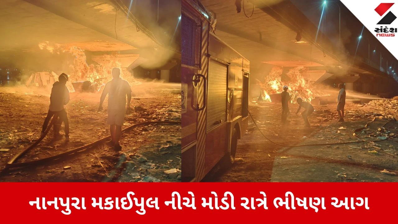 સુરતના નાનપુરા મકાઈપુલ નીચે આગથી રવિવારી બજારનું ફર્નિચર બળીને ખાખ થઈ ગયું. કોઈ જાનહાનિ થઈ નથી.
