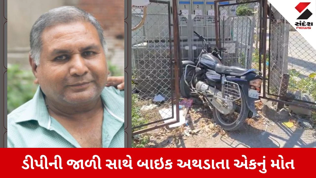 Mahesana News: ડીપીની જાળી સાથે બાઇક અથડાતા અકસ્માત, એકનું મોત 
