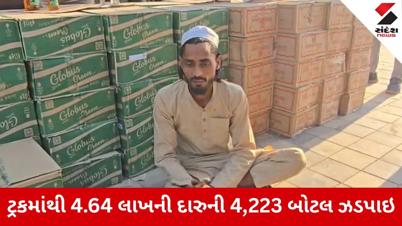 Morbi : હળવદ પોલીસે દારૂની હેરાફેરી કરતા એકને ઝડપ્યો, ડરની બોરીઓની આડમાં દારુ લઇ જવાતો હતો 