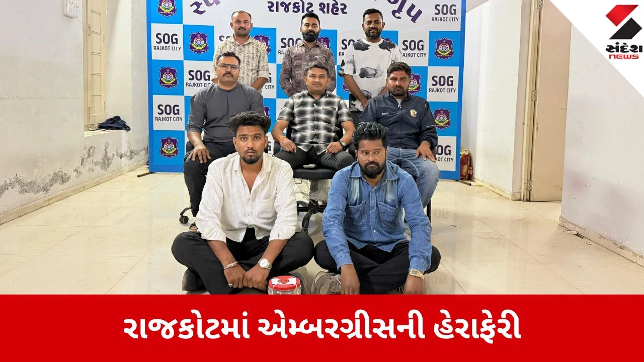 રાજકોટ: એમ્બરગ્રીસ સાથે બે આરોપીઓ ઝડપાયા, અમદાવાદના શખ્સો પાસેથી 46 લાખનો મુદ્દામાલ જપ્ત.