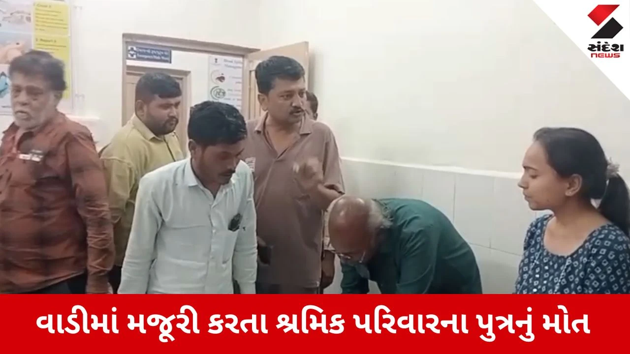 Amreli : માણાવાવ ગામની સીમ વિસ્તારમાં સિંહણનો હુમલામાં 5 વર્ષના બાળકનું મોત 