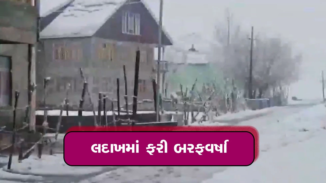 કારગિલના લદ્દાખમા ફરી હિમવર્ષા 