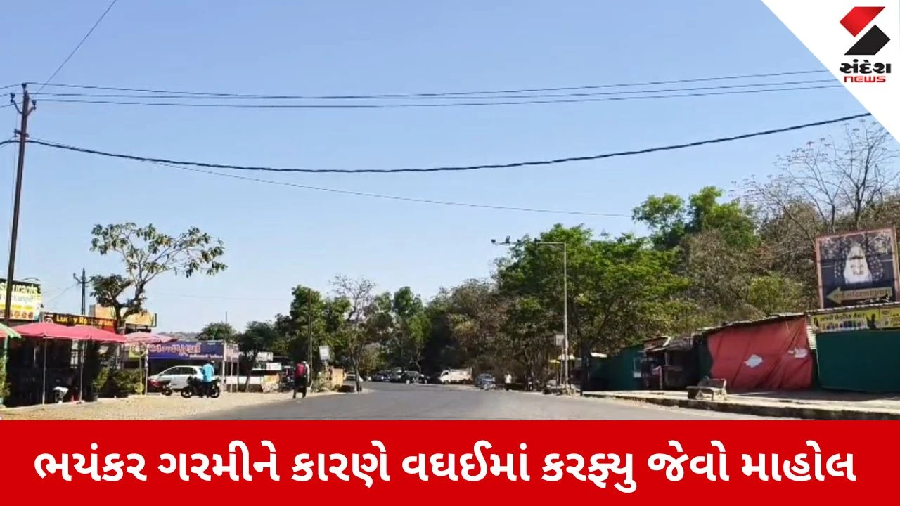 Dang News: હીટવેવનો હાહાકાર, વઘઈ અને આહવામાં ભયંકર ગરમી, હીટવેવથી પ્રભાવિત થયું જનજીવન 