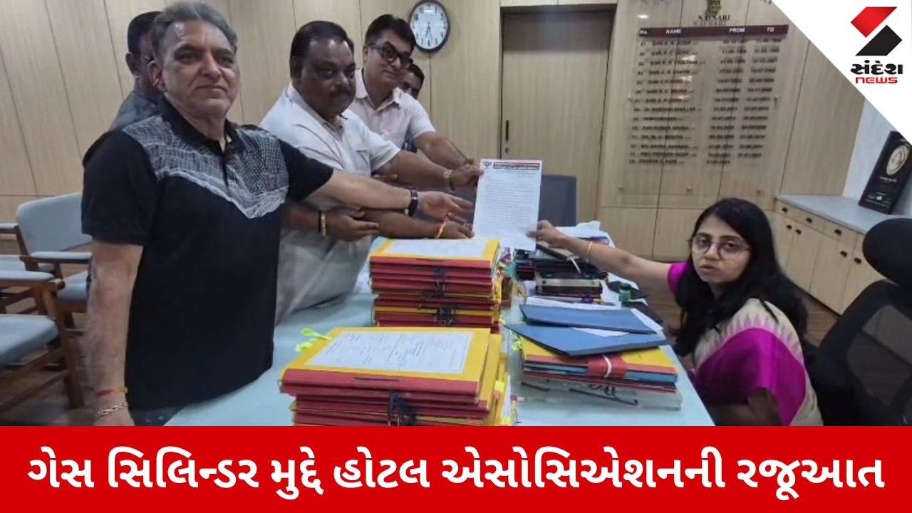 Navsari News: ગેસ સિલિન્ડર મામલે હોટલ એસોસિએશને કરી રજૂઆત 