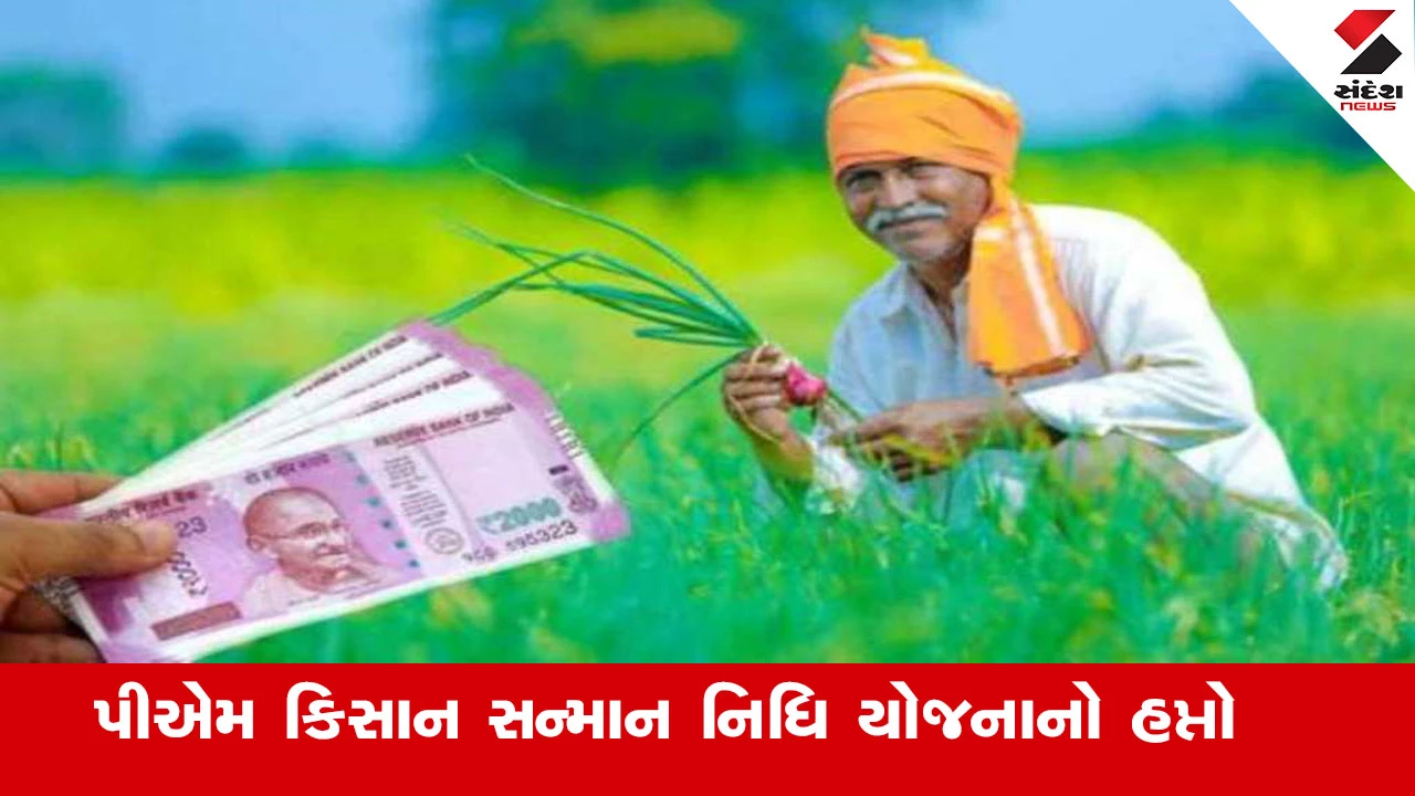 PM કિસાન યોજના હેઠળ ગુજરાતના આશરે 49.59 લાખ ખેડૂત પરિવારોને રૂ. 1028 કરોડથી વધુની સહાય મળશે.