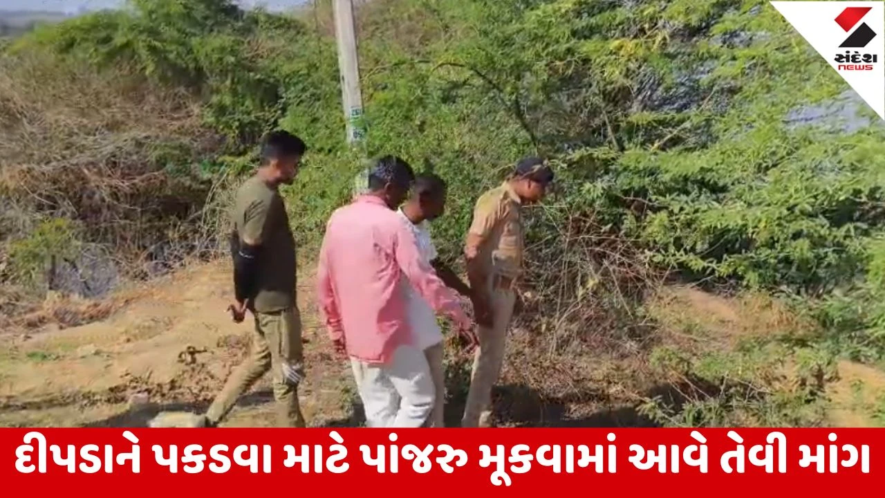 Dahod : ગરબાડાના માનીક્યાર ગામે વૃદ્ધા પર દીપડાનો હુમલો, સારવાર માટે ખસેડાયા