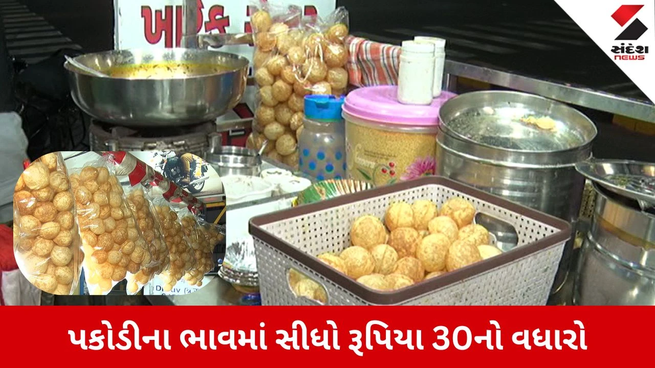 Ahmedabad News: પકોડીના ભાવમાં સીધો રૂપિયા 30નો વધારો, કોમર્શિયલ ગેસની કૃત્રિમ અછતથી ફાસ્ટફૂડ ઉદ્યોગ પર સંકટ
