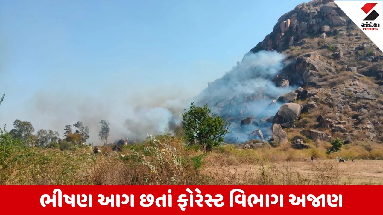 Sabarkantha : ઈડરના ગંભીરપુરા નજીક ડુંગર ઉપર લાગી ભીષણ આગ, હાઈવે રસ્તા સહિતના વિસ્તારોમાં ધુમાડાના ગોટેગોટા છવાયા 