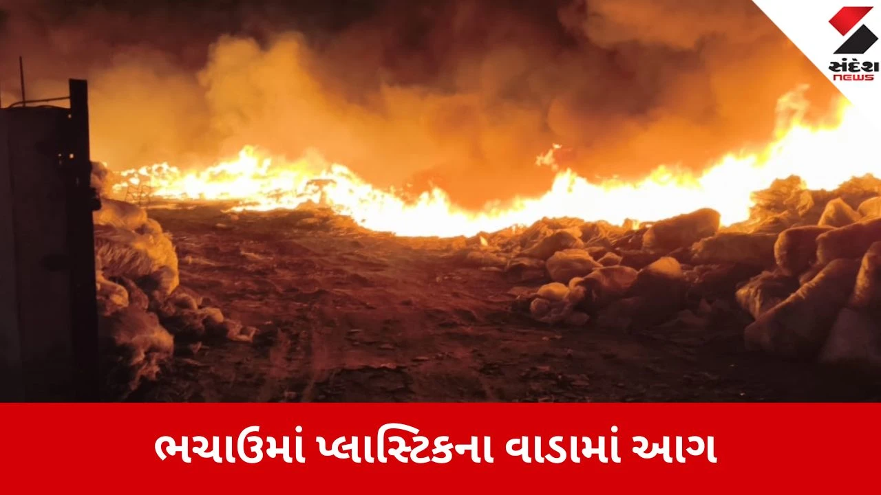 કચ્છના ભચાઉ નજીક પ્લાસ્ટિકના વાડામાં આગ, ગેસ સિલિન્ડર સલામત રીતે ખસેડાયા, મોટી હોનારત ટળી.