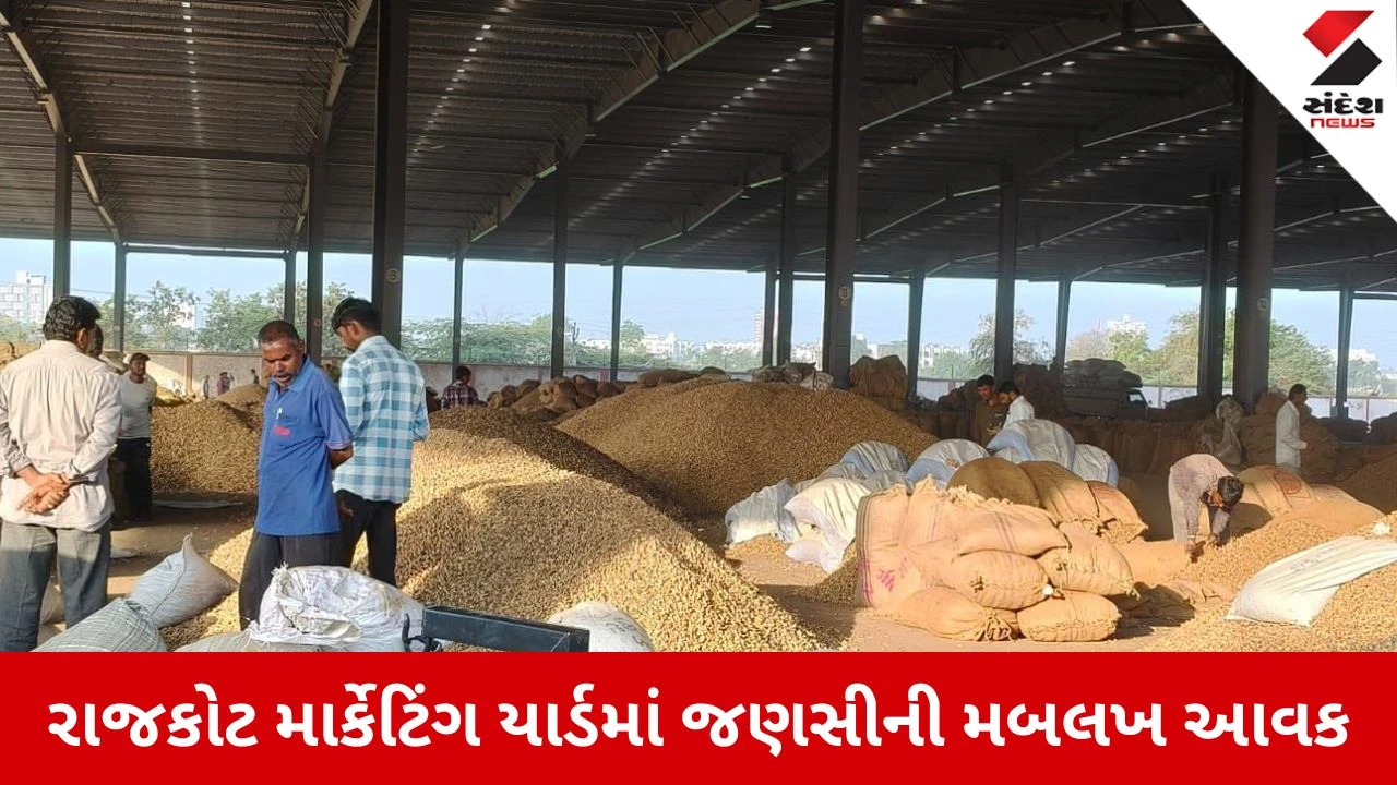 Rajkot News: માર્કેટિંગ યાર્ડમાં જણસીની મબલખ આવક, એક જ દિવસમાં 1.20 લાખ મણ ઘઉં ઠાલવાયા 