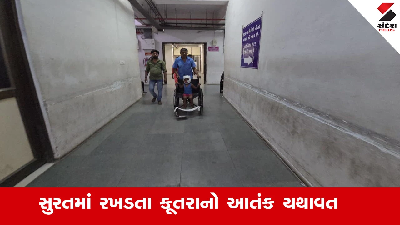 સુરતમાં રખડતા કૂતરાનો આતંક, ભેસ્તાનમાં ચાર વર્ષના બાળકને કૂતરાએ મોઢા પર બચકા ભર્યા.