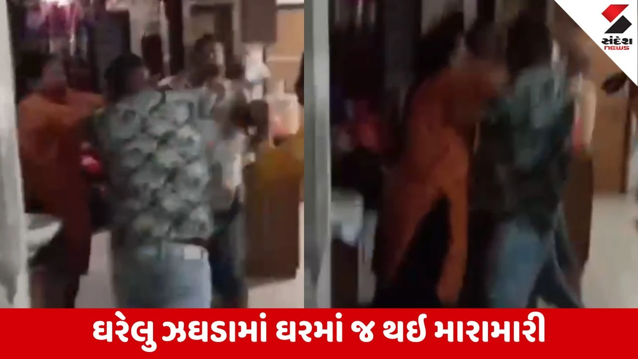Vadodara: તરસાલીમાં ઘરેલું ઝઘડાનો કોલ મળતા પહોંચેલા પોલીસ કર્મીઓ સાથે જ ઝપાઝપી