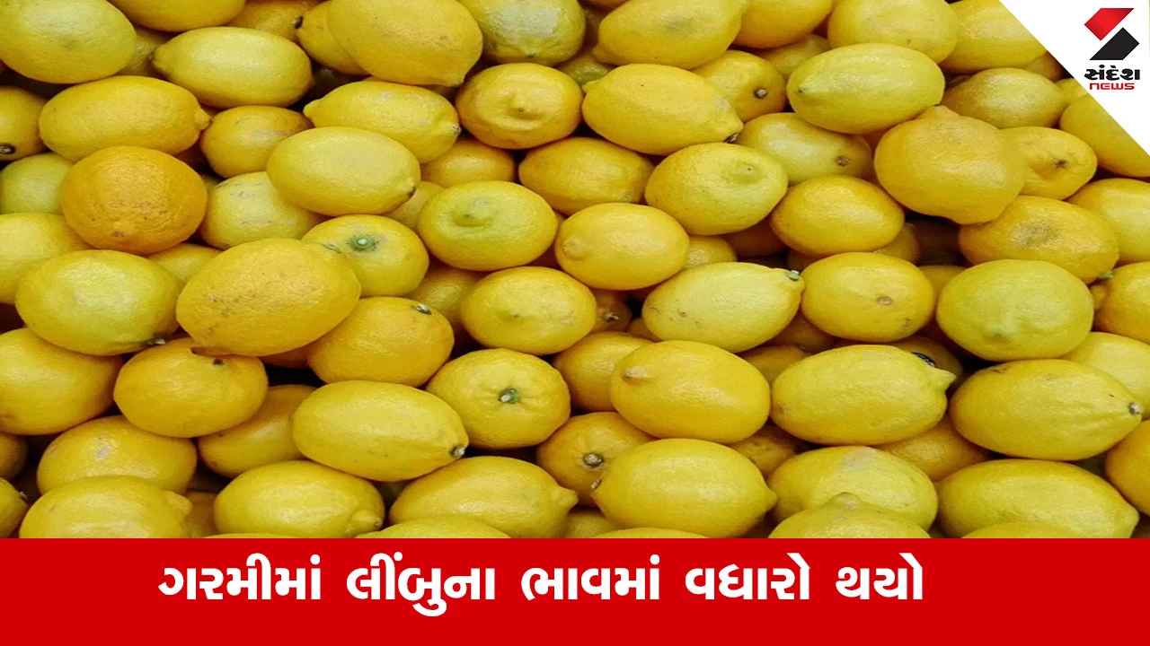 રાજકોટ News: ગૃહિણીઓનું બજેટ ખોરવાયું, લીંબુનો ભાવ રૂ. 200-250 સુધી પહોંચ્યો. ગરમીમાં ભાવ વધતા મુશ્કેલી.