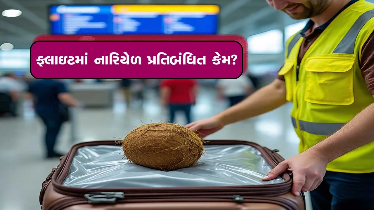 ફ્લાઇટમાં નારિયેળ કેમ લઈ જવાતું નથી? તેનું ખતરનાક કારણ જાણો.