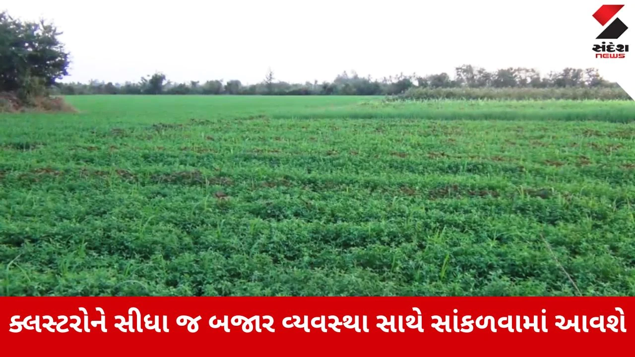 Gandhinagar : પ્રાકૃતિક કૃષિનો વ્યાપ વધારવા સરકારની જાહેરાત, 500 પ્રાકૃતિક કૃષિ ગામ વિકસાવવામાં આવશે 
