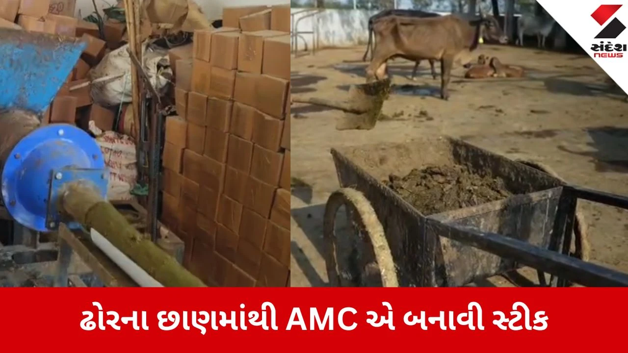 અમદાવાદ AMC દ્વારા રખડતા ઢોરના છાણમાંથી ગોબર સ્ટીક બનાવી, રેસ્ટોરન્ટ અને હોસ્ટેલ માટે ગેસની સમસ્યા દૂર!.