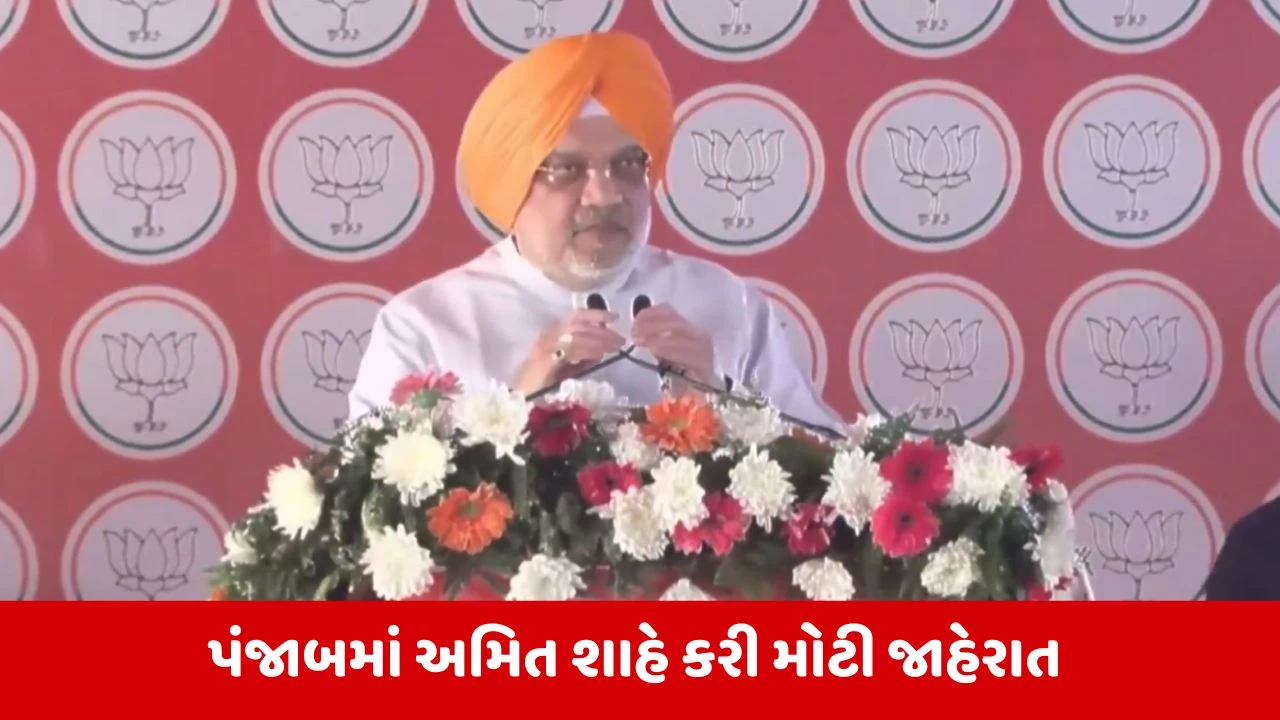 Punjabમાં ભાજપ સ્વતંત્ર રીતે વિધાનસભા ચૂંટણી લડશે: અમિત શાહ 
