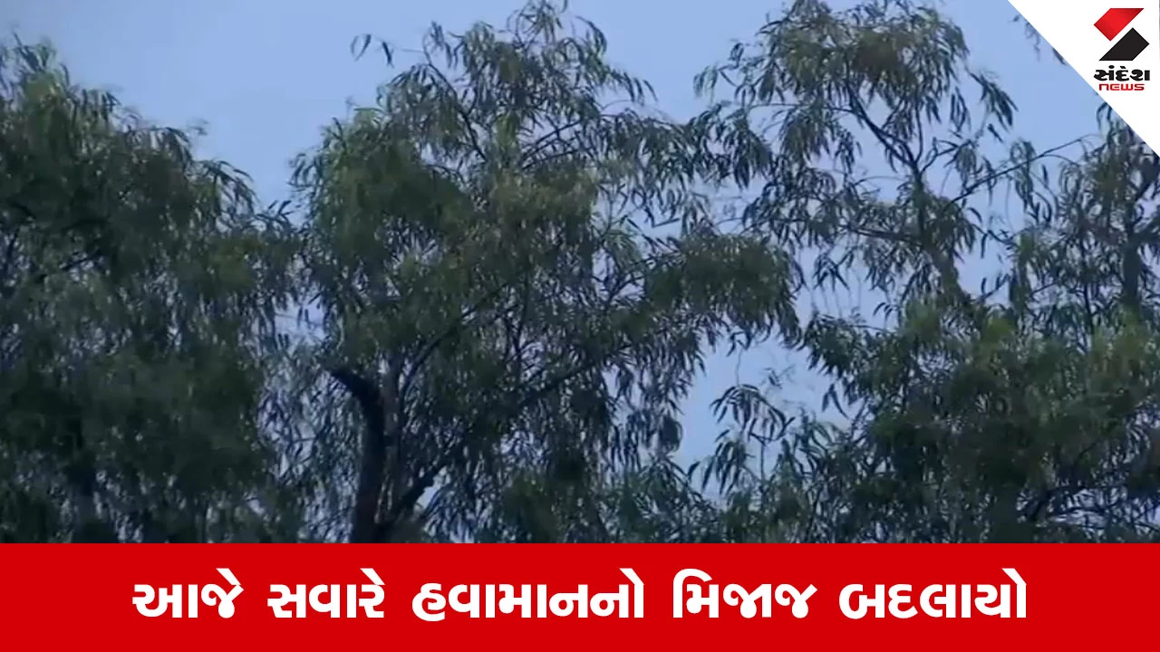 દિલ્હી-NCRમાં હવામાન બદલાયું: વિસ્તારોમાં વરસાદ. IMD એલર્ટ જાહેર. તાપમાન ઘટ્યું. ખેડૂતો માટે ફાયદાકારક! Weather Update.