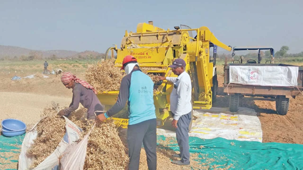 Himatnagar: માવઠાની દહેશત વચ્ચે સુનોખના ખેડૂતો પાક બચાવવા માટે ખેતરોમાં દોડધામ કરી રહ્યા છે.