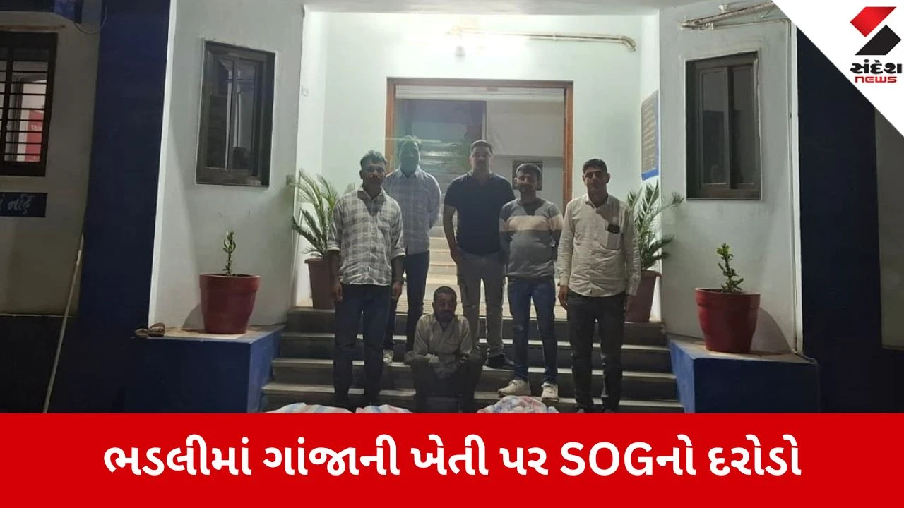 જસદણમાં SOGએ ભડલીમાં દરોડો પાડી રૂ. 37 લાખથી વધુનો 74 કિલો ગાંજો ઝડપ્યો.