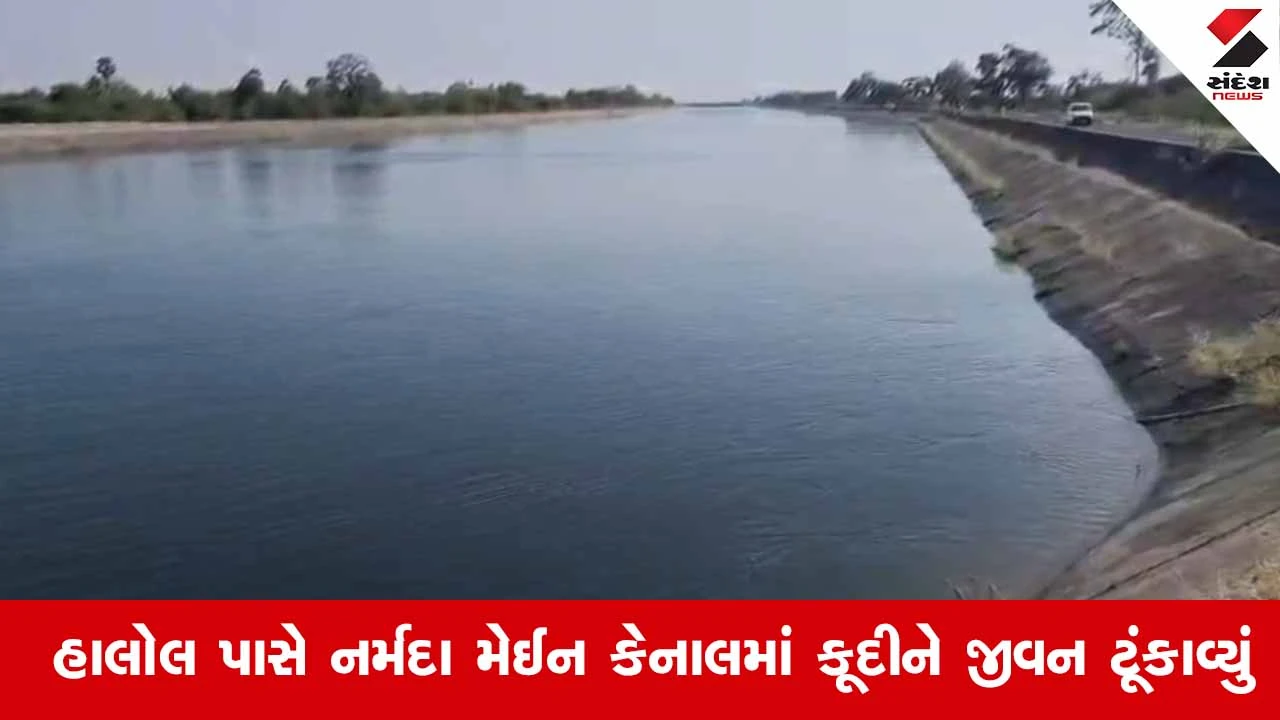 Vadodara News: મિત્ર સાથે ફરવા નીકળેલા યુવકે નર્મદા કેનાલમાં લગાવી મોતની છલાંગ, પરિવારમાં મચ્યો હડકંપ 