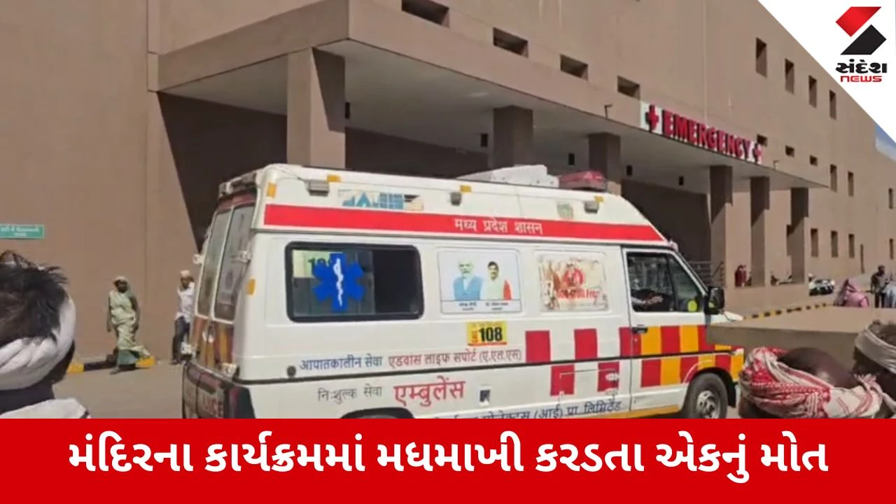 Dahod News: અભલોડમાં મધમાખીઓનો આતંક, મંદિરના કાર્યક્રમમાં મધમાખી કરડતા એકનું મોત, 8 ઘાયલ