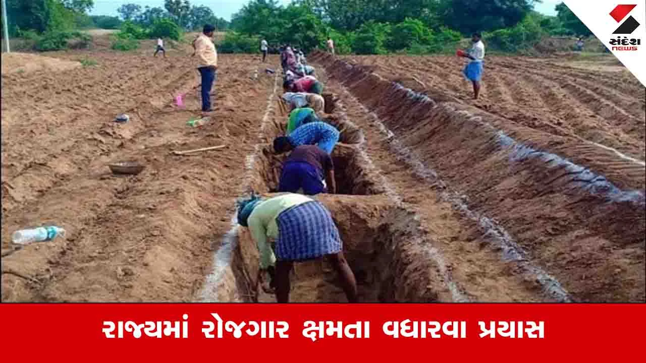 યુવાનોની રોજગાર ક્ષમતા વધારવા માટે 226 કરોડ રૂપિયાનો ખર્ચ કરવામાં આવશે.