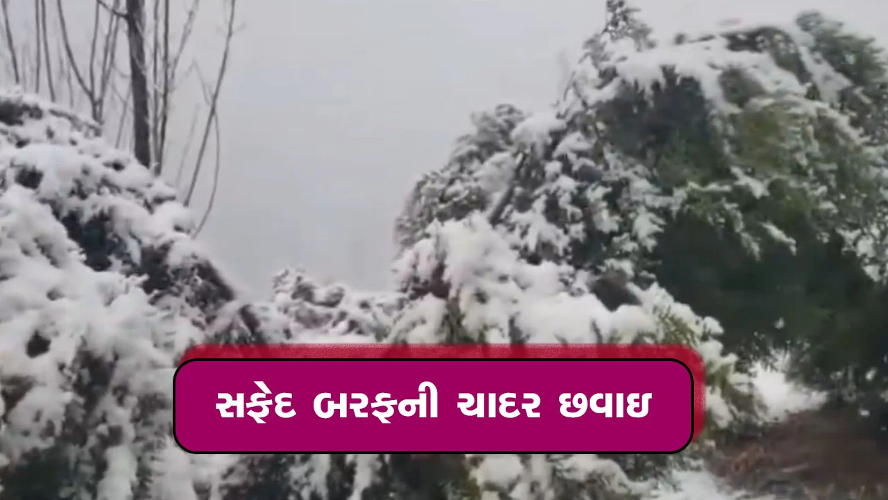 જમ્મુ-કાશ્મીરમાં હિમવર્ષા.