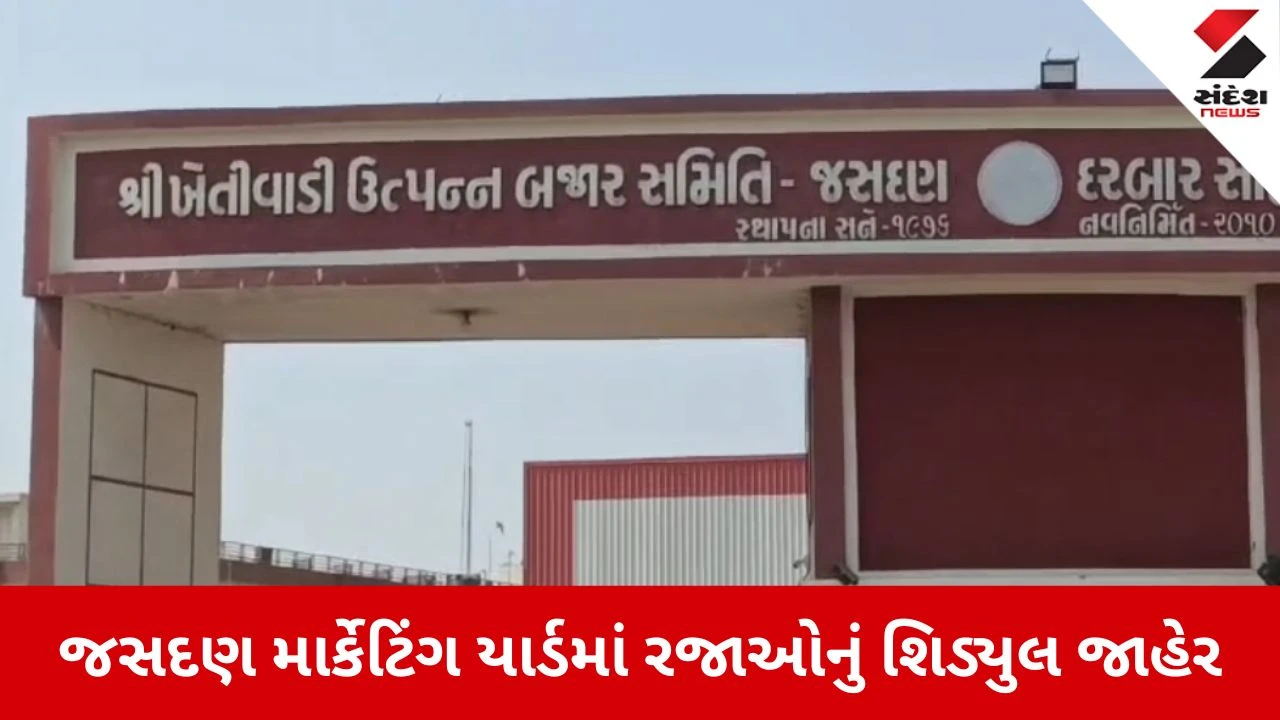 જસદણ APMC દ્વારા કમોસમી વરસાદ અને માર્ચ એન્ડિંગને લીધે ખેડૂતો અને વેપારીઓ માટે મહત્વપૂર્ણ સૂચના.