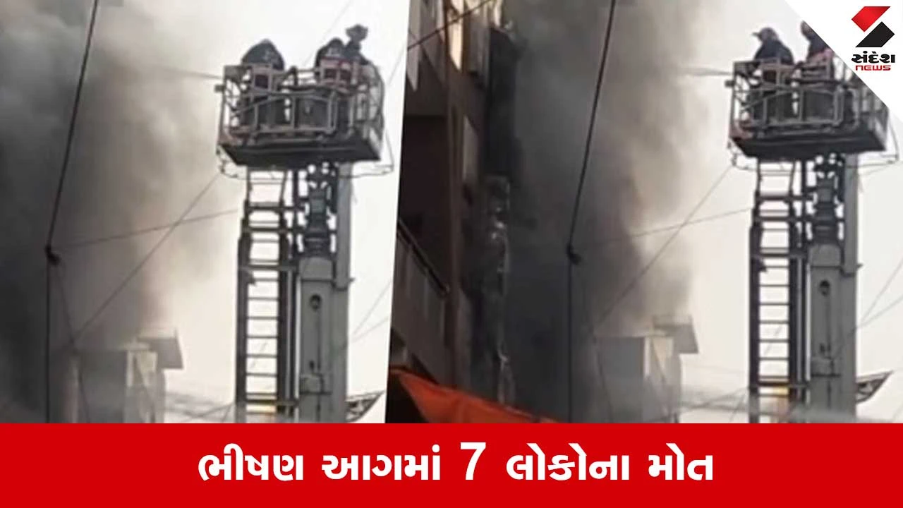 Delhi Fire: પાલમમાં 5 માળની બિલ્ડિંગમાં આગ, 3 બાળક સહિત 7ના મોત 