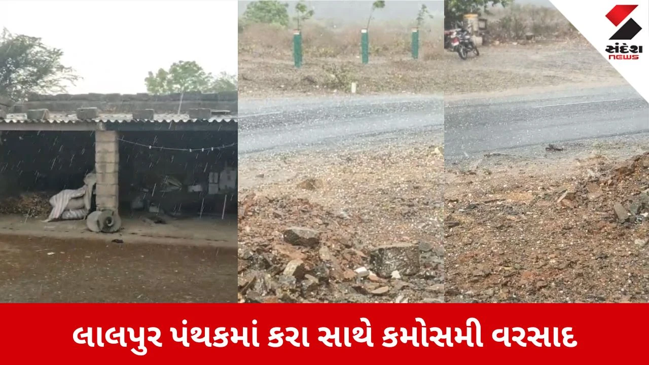 Jamnagar News: લાલપુર પંથકમાં કરા સાથે કમોસમી વરસાદ, ચણા-ધાણા અને જીરૂના પાક પર જોખમ