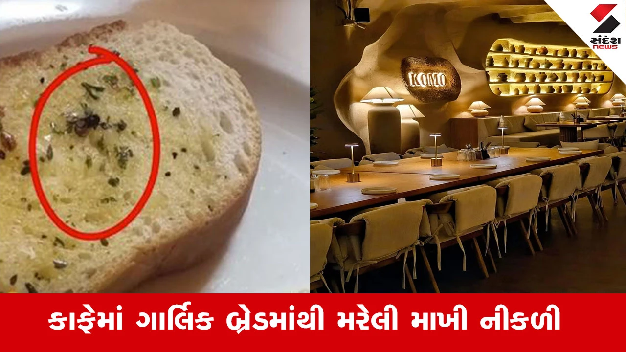 અમદાવાદના Komo by Kaffaની ગાર્લિક બ્રેડમાં મરેલી માખી નીકળતા હોબાળો, મેનેજરે માફી માંગી.