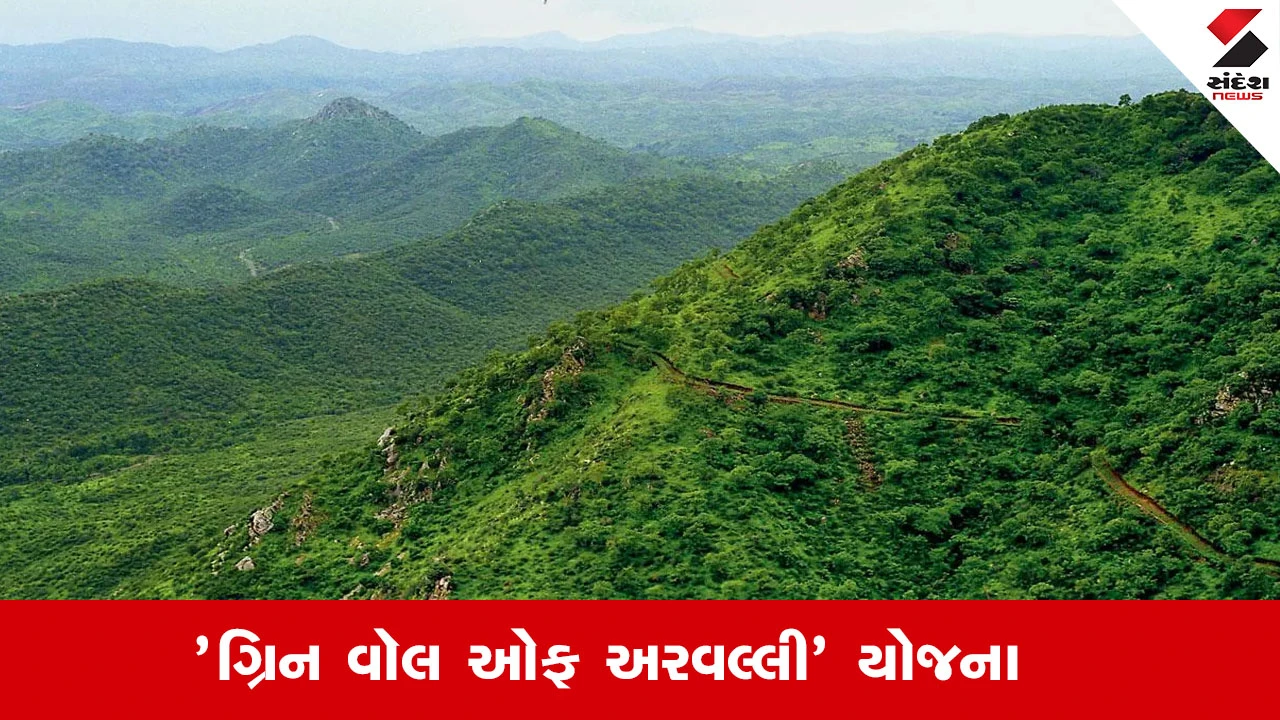 Gandhinagar News : 'ગ્રિન વૉલ ઓફ અરવલ્લી' યોજના હેઠળ છેલ્લા બે વર્ષમાં 2.30 લાખ વૃક્ષોનું વાવેતર કરાયું