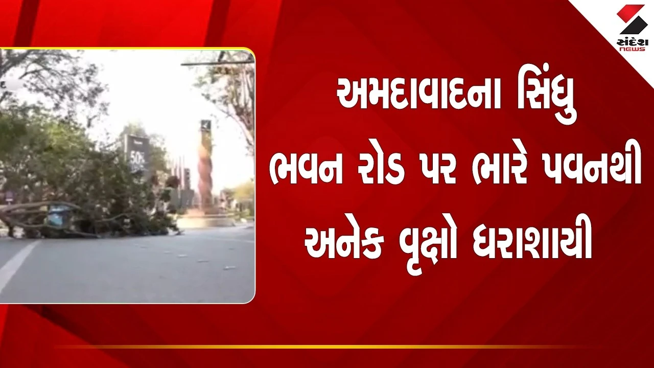 Ahmedabad News: સિધુ ભવન રોડ પર ભારે પવનથી અનેક વૃક્ષો ધરાશાયી 