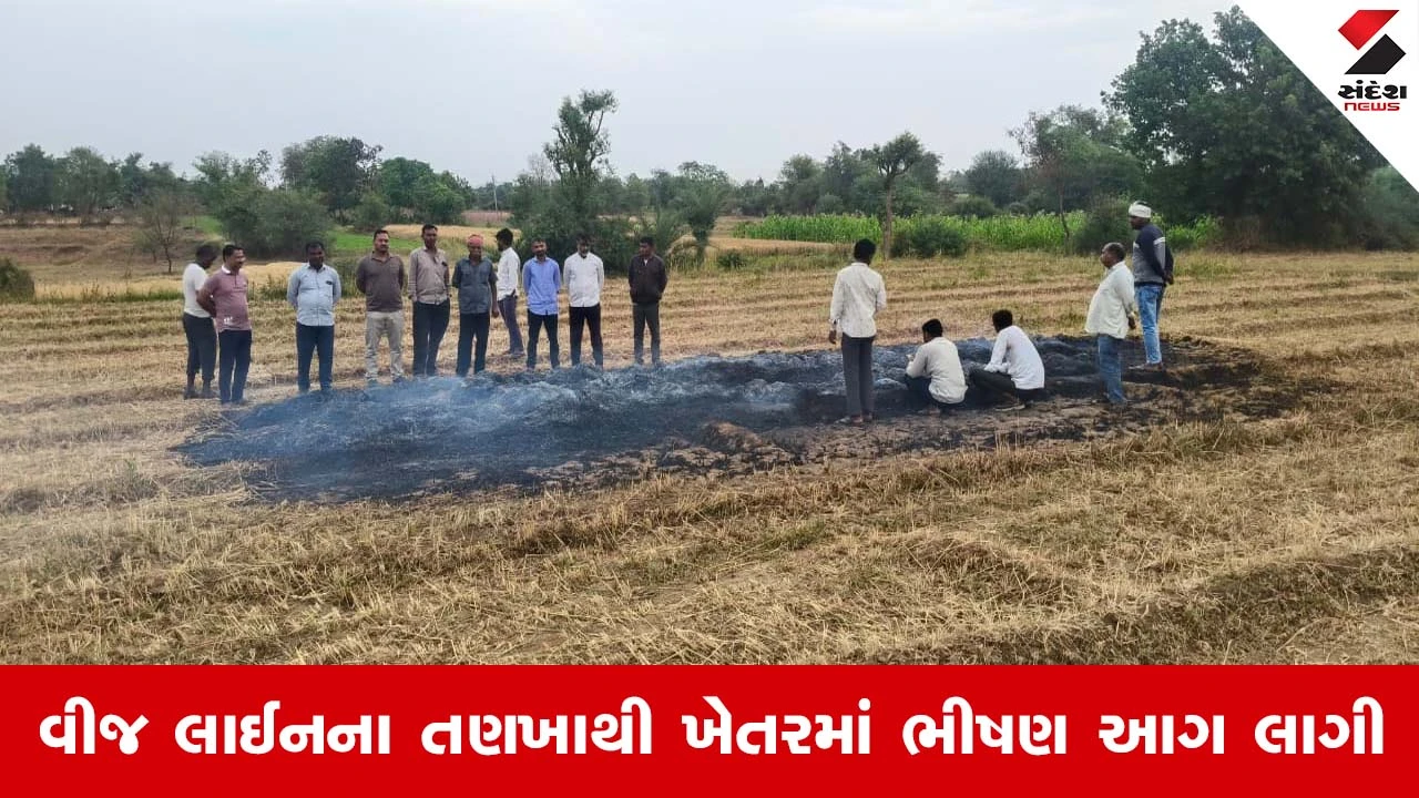 મહેસાણામાં મિની વાવાઝોડાથી વીજપોલ ધરાશાયી, તણખાથી ખેતરમાં આગ લાગી, પાક બળીને ખાખ.